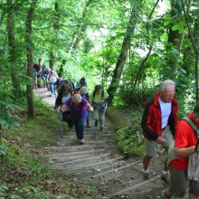 IMG_2557.JPG
