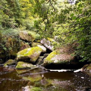 42__gorge-de-toul-goulic.jpg