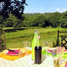 l_coriandre-restaurant-bio-tremargat.jpg